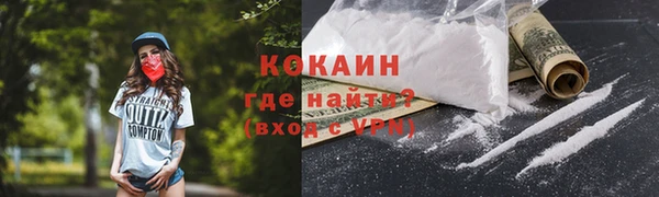 гидра Верхний Тагил