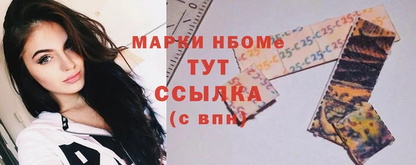 гидра Верхний Тагил