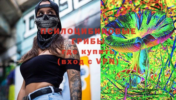 гидра Верхний Тагил