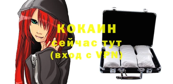 гидра Верхний Тагил