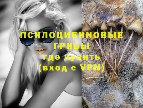 гидра Верхний Тагил