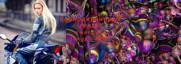 гидра Верхний Тагил