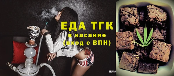гидра Верхний Тагил