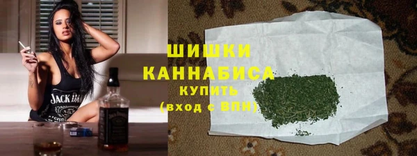 гидра Верхний Тагил