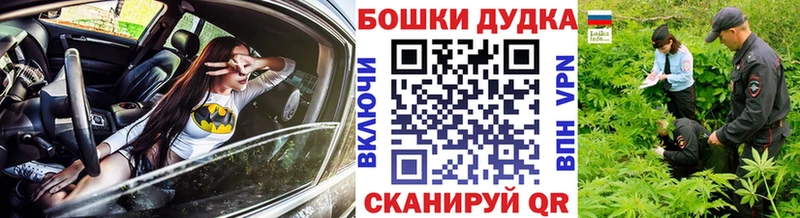 что такое   Новопавловск  Каннабис Bruce Banner 
